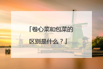 卷心菜和包菜的区别是什么?