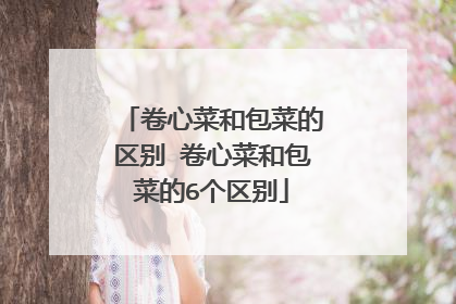 卷心菜和包菜的区别 卷心菜和包菜的6个区别