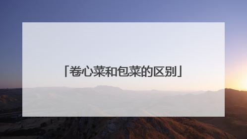卷心菜和包菜的区别