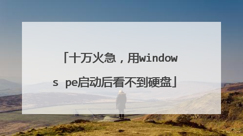 十万火急，用windows pe启动后看不到硬盘