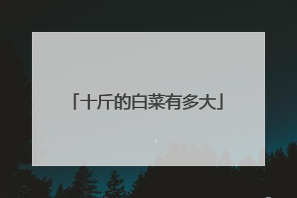 十斤的白菜有多大