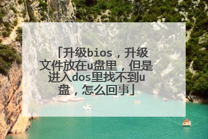 升级bios,升级文件放在u盘里,但是进入dos里找不到u盘,怎么回事