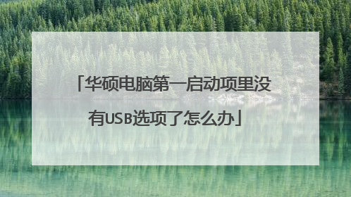 华硕电脑第一启动项里没有USB选项了怎么办