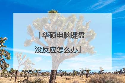 华硕电脑键盘没反应怎么办