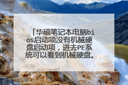 华硕笔记本电脑bios启动项没有机械硬盘启动项,进去PE系统可以看到机械硬盘。这是怎么回事?谢谢