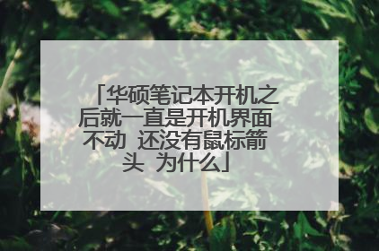 华硕笔记本开机之后就一直是开机界面不动 还没有鼠标箭头 为什么