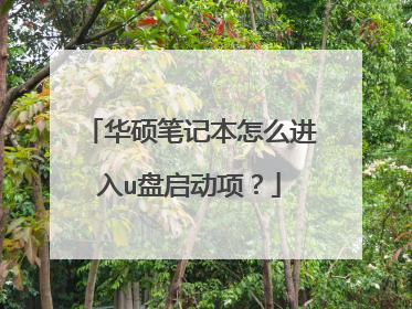 华硕笔记本怎么进入u盘启动项？