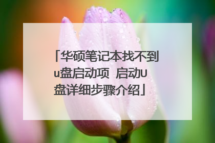 华硕笔记本找不到u盘启动项 启动U盘详细步骤介绍