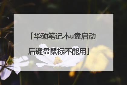 华硕笔记本u盘启动后键盘鼠标不能用