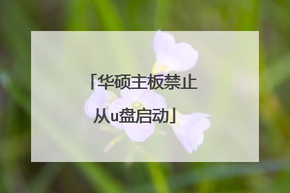 华硕主板禁止从u盘启动
