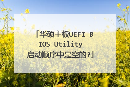 华硕主板UEFI BIOS Utility启动顺序中是空的?