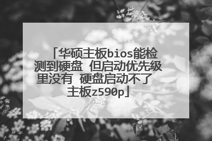 华硕主板bios能检测到硬盘 但启动优先级里没有 硬盘启动不了 主板z590p