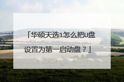 华硕天选1怎么把U盘设置为第一启动盘？