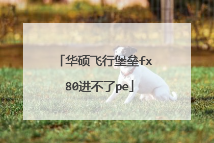 华硕飞行堡垒fx80进不了pe