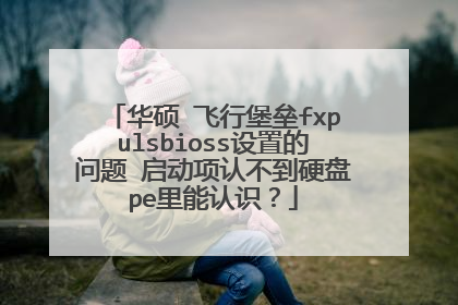 华硕 飞行堡垒fxpulsbioss设置的问题 启动项认不到硬盘pe里能认识?