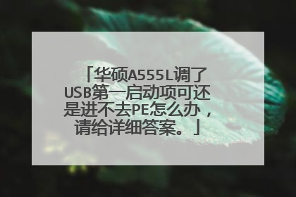 华硕A555L调了USB第一启动项可还是进不去PE怎么办,请给详细答案。