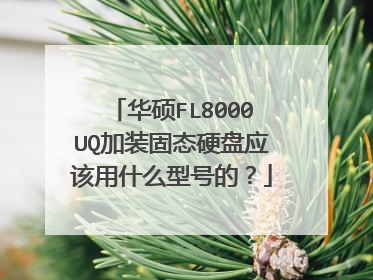 华硕FL8000UQ加装固态硬盘应该用什么型号的?