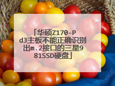 华硕Z170-P d3主板不能正确识别出m.2接口的三星981SSD硬盘