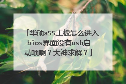 华硕a55主板怎么进入bios界面没有usb启动项啊？大神求解？