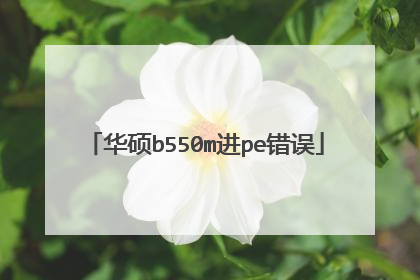 华硕b550m进pe错误