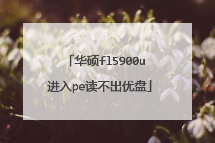 华硕fl5900u进入pe读不出优盘