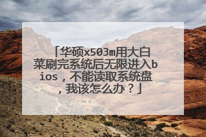 华硕x503m用大白菜刷完系统后无限进入bios，不能读取系统盘，我该怎么办？