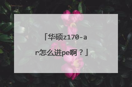 华硕z170-ar怎么进pe啊?