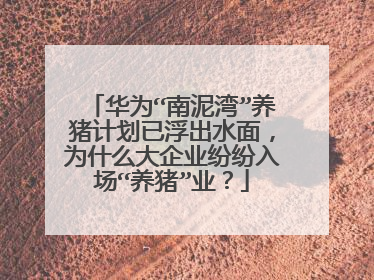 华为“南泥湾”养猪计划已浮出水面,为什么大企业纷纷入场“养猪”业?