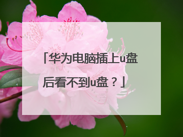 华为电脑插上u盘后看不到u盘?