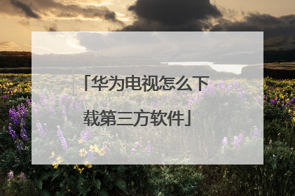 华为电视怎么下载第三方软件