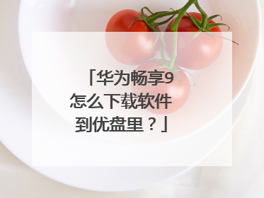 华为畅享9怎么下载软件到优盘里?