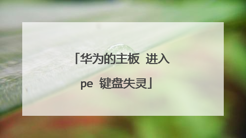 华为的主板 进入pe 键盘失灵