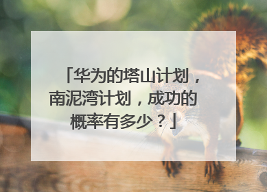 华为的塔山计划,南泥湾计划,成功的概率有多少?