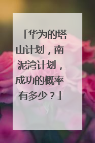 华为的塔山计划，南泥湾计划，成功的概率有多少？