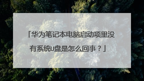 华为笔记本电脑启动项里没有系统U盘是怎么回事?