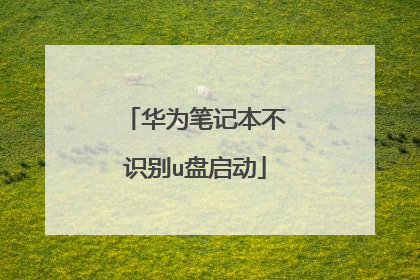 华为笔记本不识别u盘启动