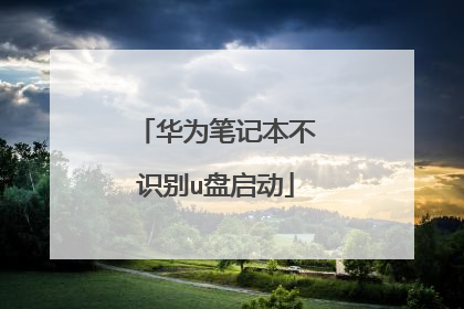 华为笔记本不识别u盘启动
