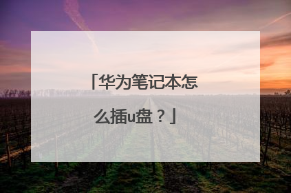 华为笔记本怎么插u盘?