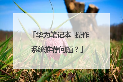 华为笔记本 操作系统推荐问题?