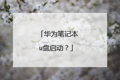 华为笔记本u盘启动?