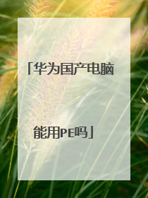 华为国产电脑能用PE吗