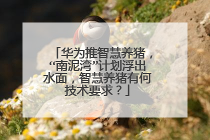 华为推智慧养猪,“南泥湾”计划浮出水面,智慧养猪有何技术要求?