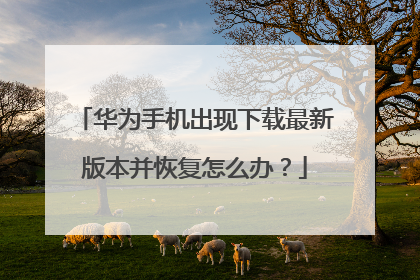 华为手机出现下载最新版本并恢复怎么办?