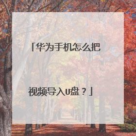 华为手机怎么把视频导入U盘?
