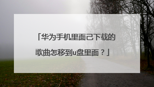 华为手机里面己下载的歌曲怎移到u盘里面？