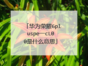 华为荣耀6pluspe一cL00是什么意思