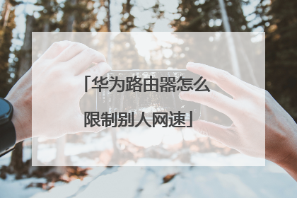 华为路由器怎么限制别人网速