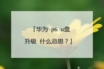 华为 p6 u盘升级 什么意思?