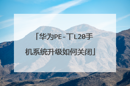 华为PE-丅L20手机系统升级如何关闭