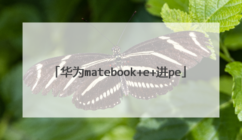 华为matebook+e+进pe